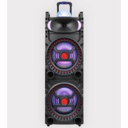 10 inch Double Speaker with LED Light, Micro- phone, & Remote 10,000W