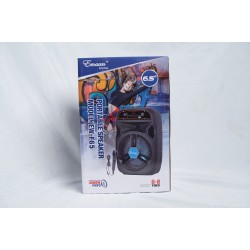 EW-F65 Bluetooth Speaker with LED Light & Microphone 6.5 inch Extra Tall 4500W